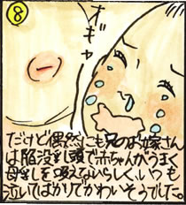 זv(8)