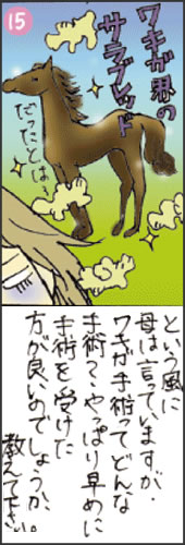 LKƎp̔N(15)
